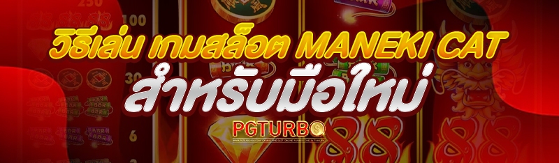 วิธีเล่น เกมสล็อต Maneki Cat